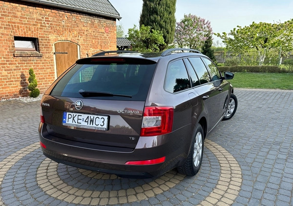 Skoda Octavia cena 33900 przebieg: 180000, rok produkcji 2013 z Nowy Wiśnicz małe 497